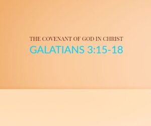 The Covenant of God in Christ