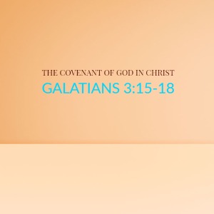 The Covenant of God in Christ