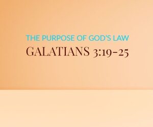 The Purpose of God’s Law