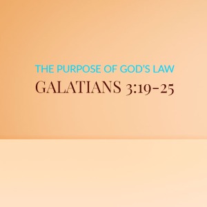 The Purpose of God’s Law