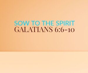 Sow to the Spirit