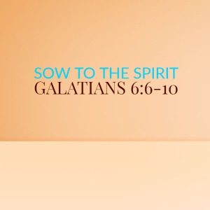 Sow to the Spirit