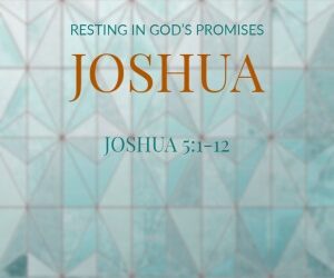 Resting in God’s Promises