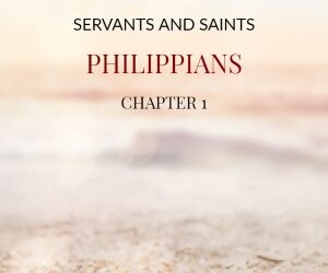 Servants and Saints