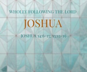 Wholly Following The Lord