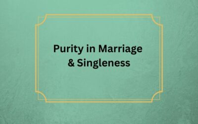 Purity in Singleness & Marriage