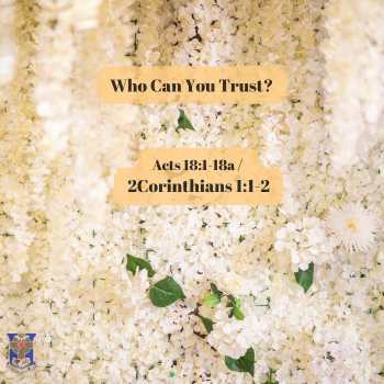 Who Can You Trust