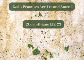 God’s Promises Are Yes and Amen!
