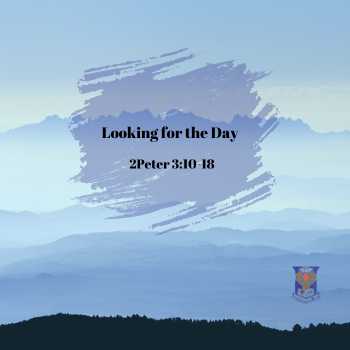 Looking for the Day