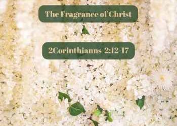 The Fragrance of Christ